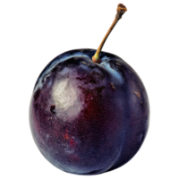 Fresh purple plum with shiny surface and stem isolated on transparency background png