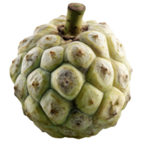 close up view of green, textured fruit with bumpy surface isolated on transparency background png
