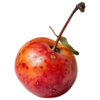 Fresh red apple with vibrant color and texture isolated on transparency background png