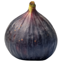 Fresh fig with rich color and smooth texture isolated on transparency background png