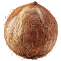 Coconut shell with rough texture and natural fibers isolated on transparency background png