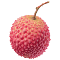 Fresh lychee fruit with vibrant red skin and texture isolated on transparency background png