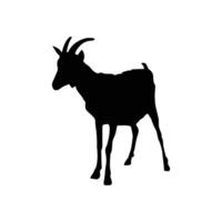 Goat silhouette on white background vector