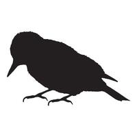 A silhouette of a woodpecker bird on a white background vector