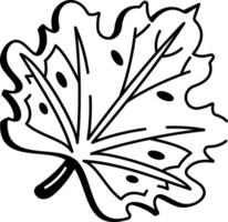 A doodle style icon of maple leaf vector