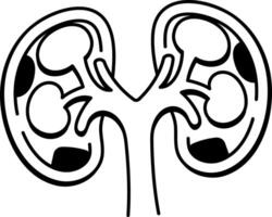 An icon depicting kidneys designed in drawing style vector