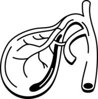 An icon of the gallbladder designed in drawing style vector