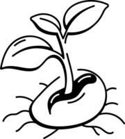 A doodle style icon showing the process of germination vector
