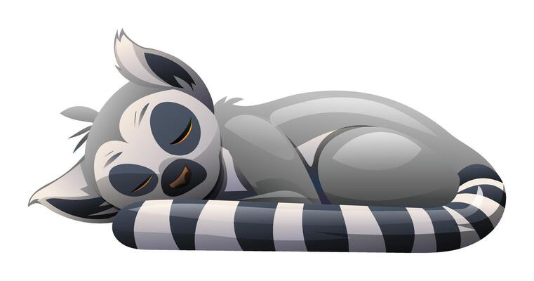 Lemur sleeping, curled up and resting. Cartoon character illustration