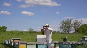 Beekeeper takes out frame with honey for harvesting. Apiarist working near wooden beehives on beautiful summer nature background. Apiculture. video