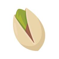 pistachio nut isolate on white background vector