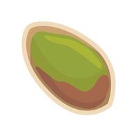 pistachio nuts isolate on white background vector