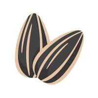 Sunflower Seeds isolate on white background vector