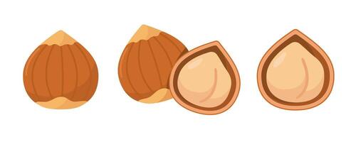 Freshly shelled and unshelled hazelnuts on a white background vector