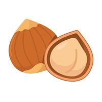 two nuts on a white background vector