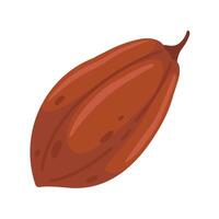 cocoa pod isolated on white background vector