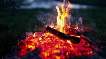 Burning fire with sparkles. Man breaks burning logs with a stick in the evening. Glowing wood in charcoal. Red charcoals in fire on dark background. Close-up. video