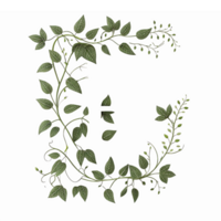 Decorative Green Leafy Alphabet Letter C Design with Botanical Elements on Transparent Background png