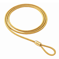 Gold Rope Lasso with Loop Designed for Western Themed Graphics and Branding Projects png