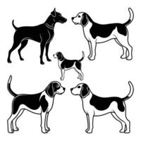 Set of Dog Breed Illustrations Black and White Silhouettes of Hound and Beagle Dogs in Side View vector