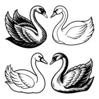 Elegant Swan Set Black and White Graceful Bird Illustrations in Line Art Style vector