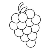 Grape Fruit Coloring page vector