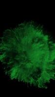 Super Slow Motion of Color Powder Explosion Vertical 06 video