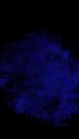 Super Slow Motion of Color Powder Explosion Vertical 03 video