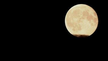 Full moon rises through drifting clouds in a cinematic time lapse at twilight video