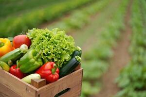 Fresh harvest of colorful vegetables in a wooden crate on a sunny farm day photo