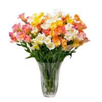 Blooming Freesias in a Glass Container png