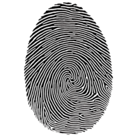 High Resolution Black Ink Fingerprint Image for Forensic and Security Use png