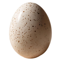 Fresh Quail Egg Stock Photo Authentic and Detailed Shell Texture png
