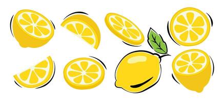 Lemonade slices cartoon set on white background. vector