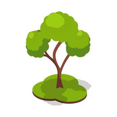 Green Tree on Small Grass Island