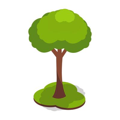 Green Tree with Full Leaf Canopy
