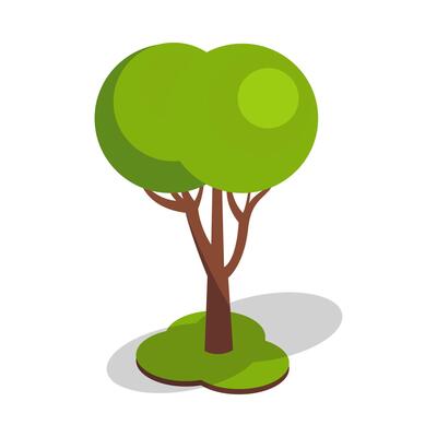 Green Tree on Grass Patch