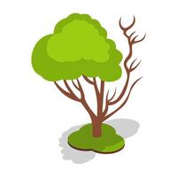 Sparse Branches Isometric vector