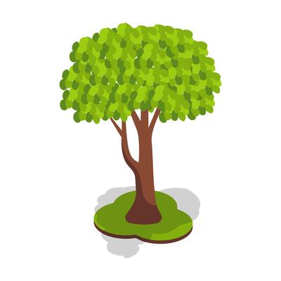 Green Tree with Leafy Canopy