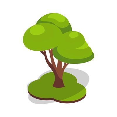 Green Tree with Lush Rounded Canopy
