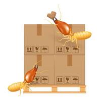 termite bites eat paper boxes brown isolated on white background, termites and wood pallet with cardboard boxes in factory warehouse, termites walking on corrugated case, termite on crate damaged vector