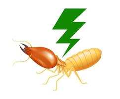 termite with thunder symbol green isolated on white background, logo insects termite and thunder flash, termite thunder symbol for flat icons info graphic, termites icon for chemical spray products vector