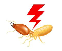 termite with thunder symbol red isolated on white background, logo insects termite and thunder flash, termite thunder symbol for flat icons info graphic, termites icon for chemical spray products vector