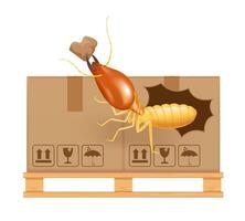 termite bites eat paper boxes brown isolated on white background, termites and wood pallet with cardboard boxes in factory warehouse vector