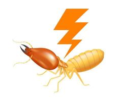 termite with thunder symbol orange isolated on white background, logo insects termite and thunder flash, termite thunder symbol for flat icons info graphic, termites icon for chemical spray products vector