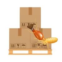 termite bites eat paper boxes brown isolated on white background, termites and wood pallet with cardboard boxes in factory warehouse, termites walking on corrugated case, termite on crate vector
