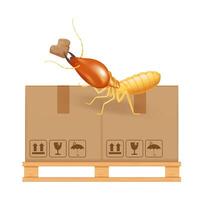 termite bites eat paper boxes brown isolated on white background, termites and wood pallet with cardboard boxes in factory warehouse, termites walking on corrugated case vector