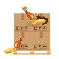 termite bites eat paper boxes brown isolated on white background, termites and wood pallet with cardboard boxes in factory warehouse, termites walking on corrugated case, termite on crate damaged box vector