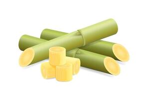 Illustration Sugar Cane, Cane, Pieces of Fresh Sugarcane Green, Sugar Cane Cut Isolated on White vector