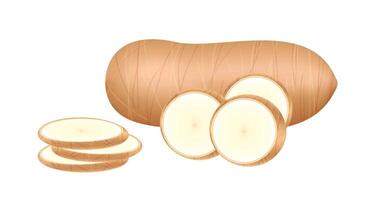 cassava fresh isolated on white background, cassava cut slice for tapioca flour industry or ethanol industry, pile yucca cassava tuber, raw manioc cassava in top view vector